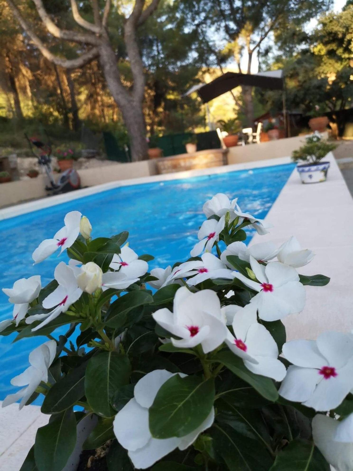 مبيت وإفطار أونتينينت Casa Jetizo المظهر الخارجي الصورة