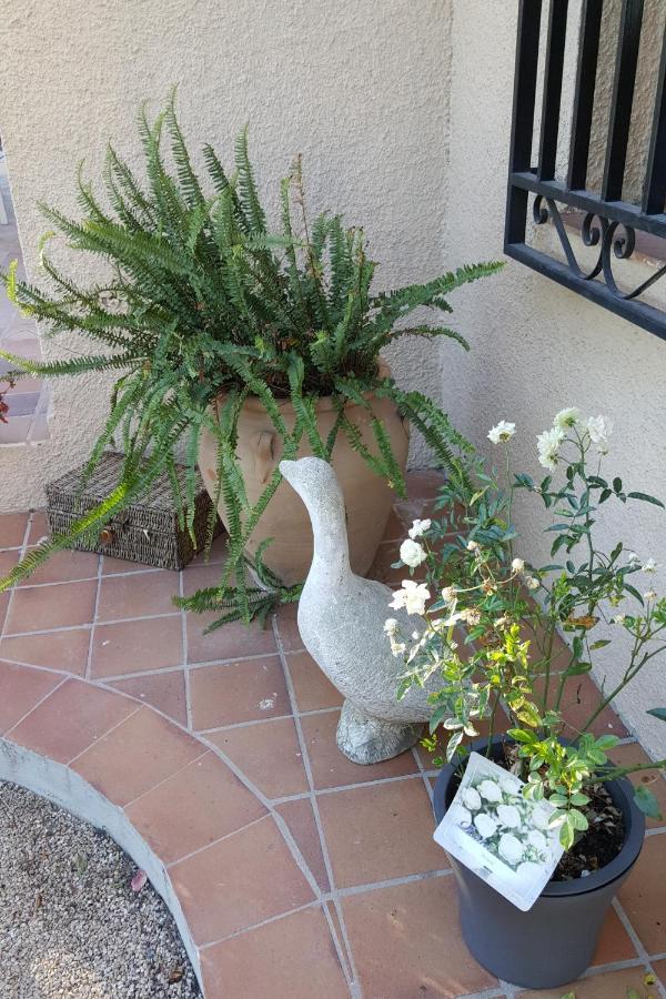 مبيت وإفطار أونتينينت Casa Jetizo المظهر الخارجي الصورة